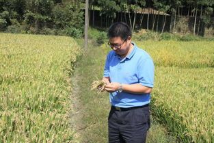 農(nóng)業(yè)科技工作者的楷模 記農(nóng)產(chǎn)品質(zhì)量標準研究所趙學平研究員的科研風采