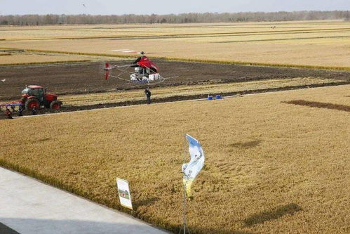 碧桂園進軍無人化農(nóng)場 農(nóng)業(yè)技術研究的新篇章