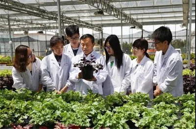 扎根濰坊大地，助力‘三農(nóng)’發(fā)展 濰坊職業(yè)學院的農(nóng)業(yè)技術(shù)研究實踐