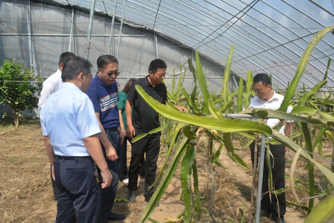 科技賦能巾幗力，助農(nóng)興農(nóng)譜新篇——山東濱州市巾幗科技助農(nóng)興農(nóng)直通車走進(jìn)陽信