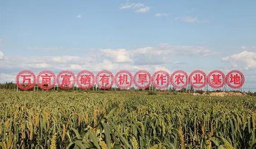 山西農(nóng)業(yè)大學(xué)領(lǐng)導(dǎo)深入考察有機(jī)旱作關(guān)鍵技術(shù)與試驗(yàn)示范基地，推動(dòng)農(nóng)業(yè)技術(shù)研究創(chuàng)新