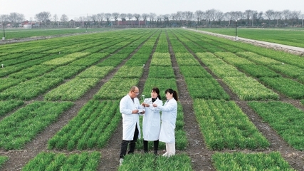 墾地融合 農(nóng)業(yè)技術(shù)研究的創(chuàng)新與實(shí)踐路徑