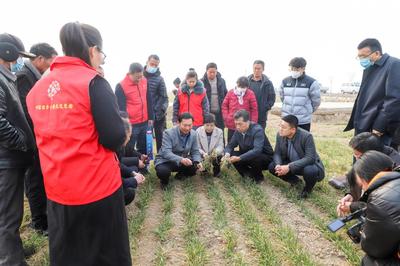 科普惠農(nóng)進(jìn)田間，科技賦能助增收——濟(jì)寧市農(nóng)科院開(kāi)展農(nóng)技專(zhuān)題培訓(xùn)