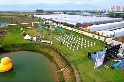 田間課堂展新風(fēng)——第30屆楊凌農(nóng)高會(huì)續(xù)辦農(nóng)業(yè)技術(shù)田間推廣展